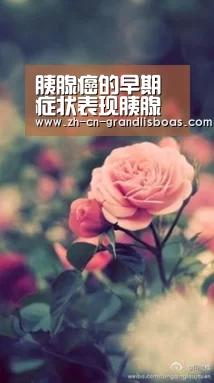 新葡京娱乐官网
