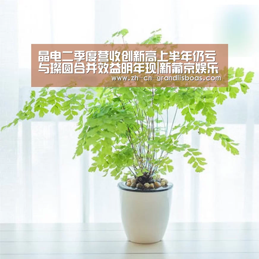新葡京娱乐官网